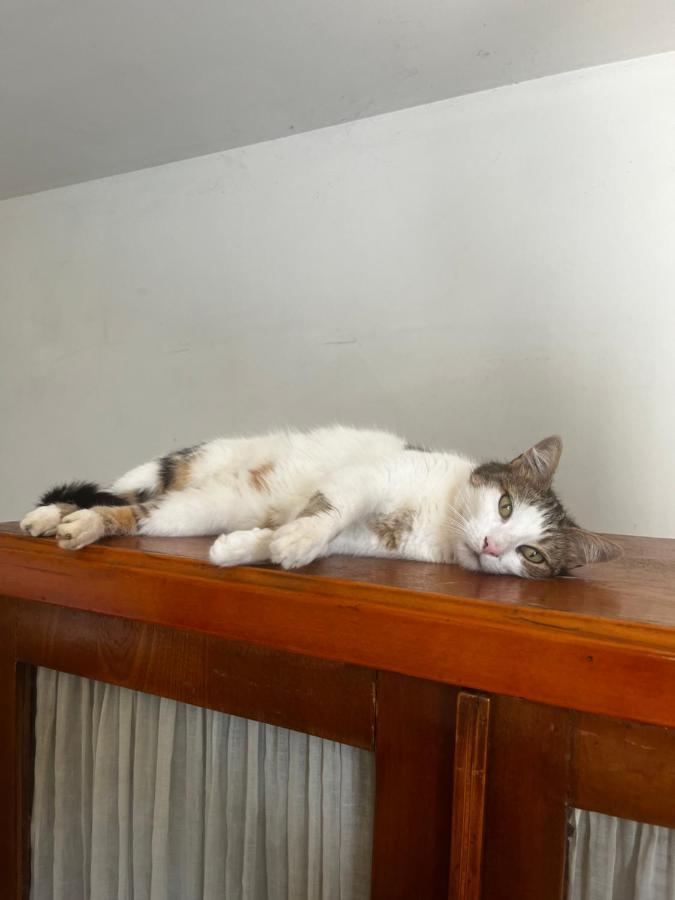 Le Mazet De Choubouloute Bed and Breakfast Saint-Gilles  Buitenkant foto